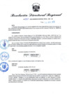 Vista preliminar de documento RDR N° 1060-2022