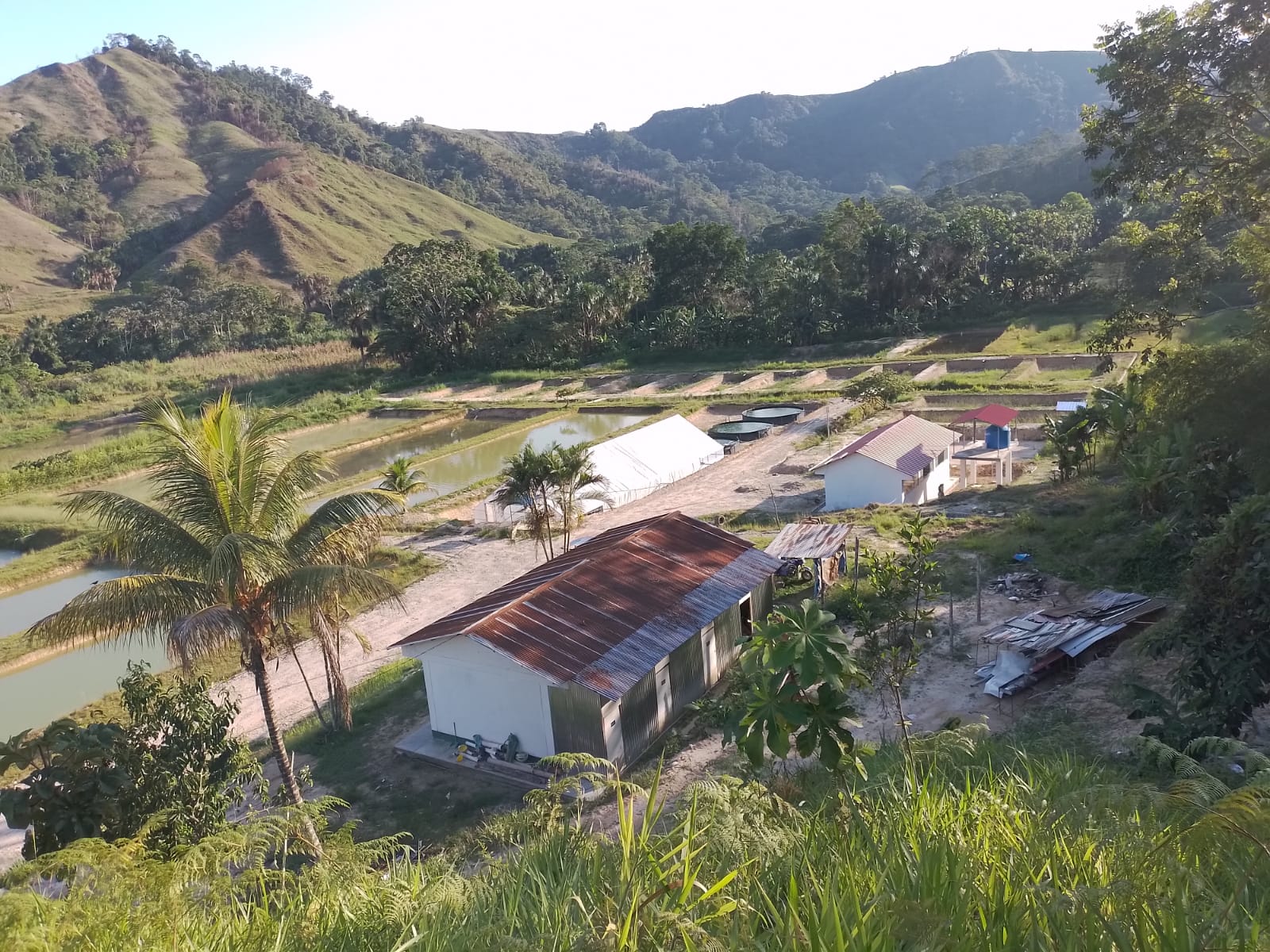 Goresam relanzará Estación Pesquera Uchiza