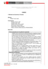 Vista preliminar de documento 1.° GORE E - MEF