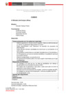 Vista preliminar de documento 1.° GORE E - MINEM
