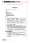 Vista preliminar de documento 1.° GORE E - MEF