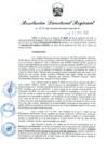 Vista preliminar de documento RDR N° 1054-2022