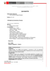 Vista preliminar de documento 2.° GORE E - MEF