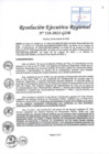 Vista preliminar de documento RER-518-2022.pdf