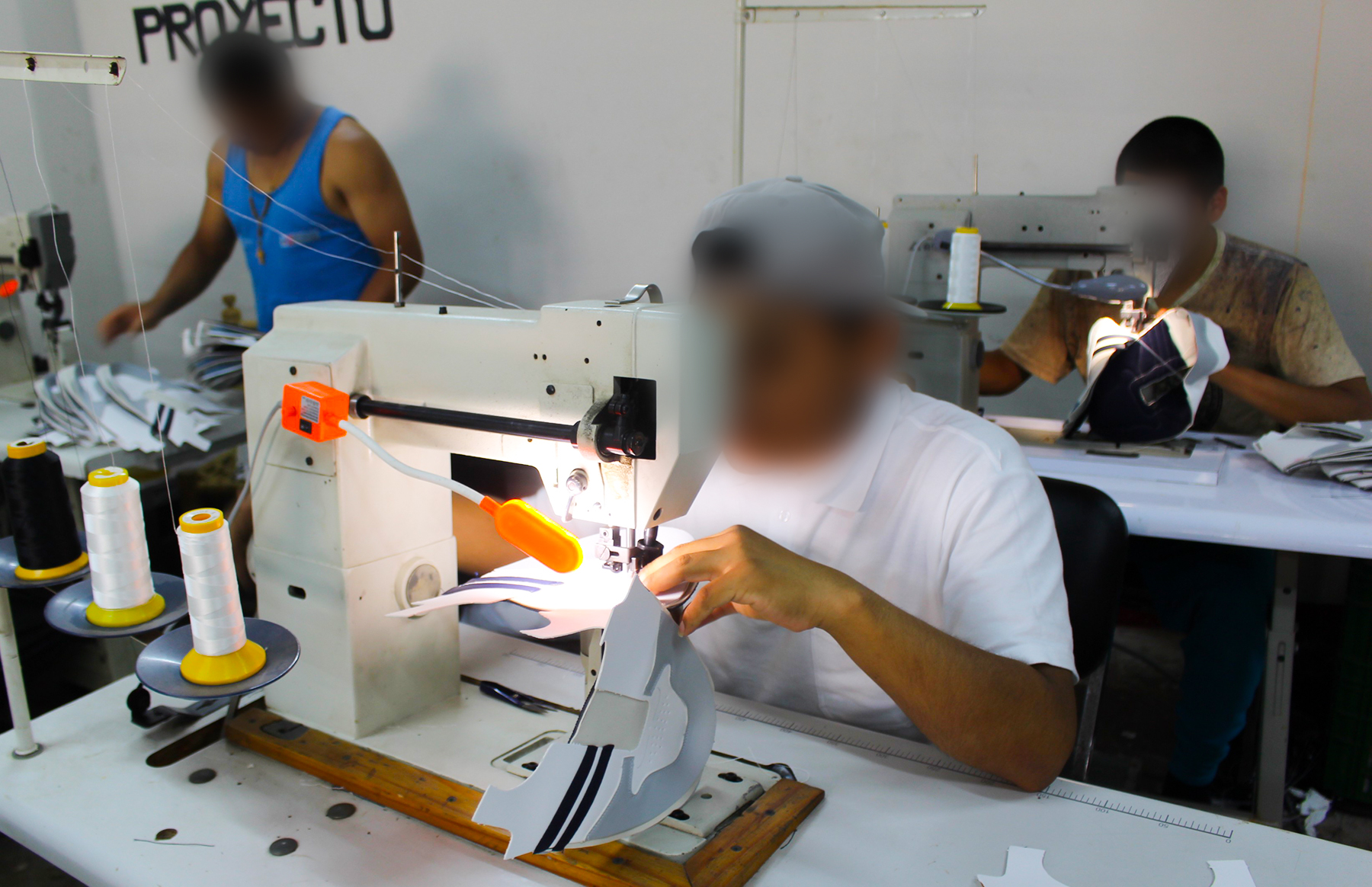 Imagen 01