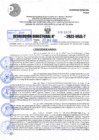 Vista preliminar de documento R.D 02030-2022.pdf