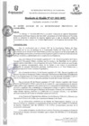 Vista preliminar de documento RAN427-2022.pdf