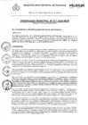 Vista preliminar de documento Ordenanza Municipal N°011-2020-MDP
