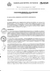 Vista preliminar de documento Ordenanza Municipal N°04-2020-MDP