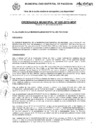 Vista preliminar de documento Ordenanza Municipal N°005-2019-MDP