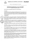 Vista preliminar de documento Ordenanza Municipal N°013-2020-MDP