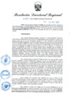 Vista preliminar de documento RDR N° 1063-2022