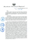 Vista preliminar de documento RDR N° 1073-2022