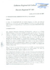 Vista preliminar de documento DECRETO REGIONAL 011-2009(16-06-2009)