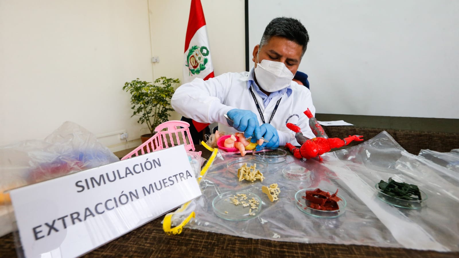 Minsa recomienda a la población adquirir productos seguros en las fiestas navideñas-