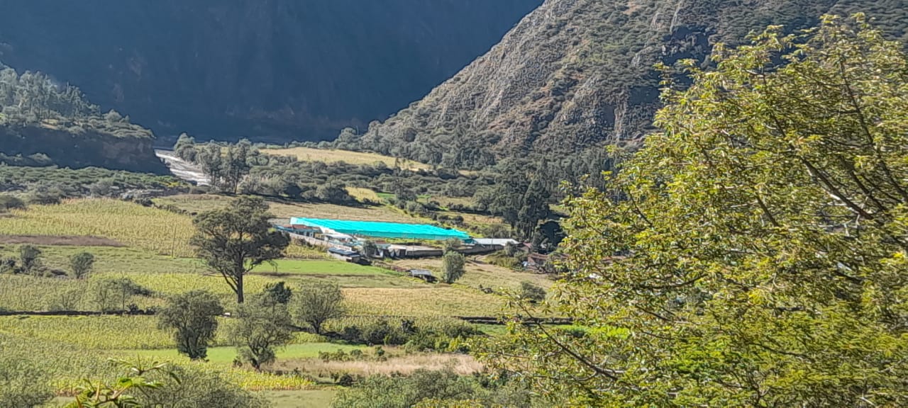 OBRAS ODEL