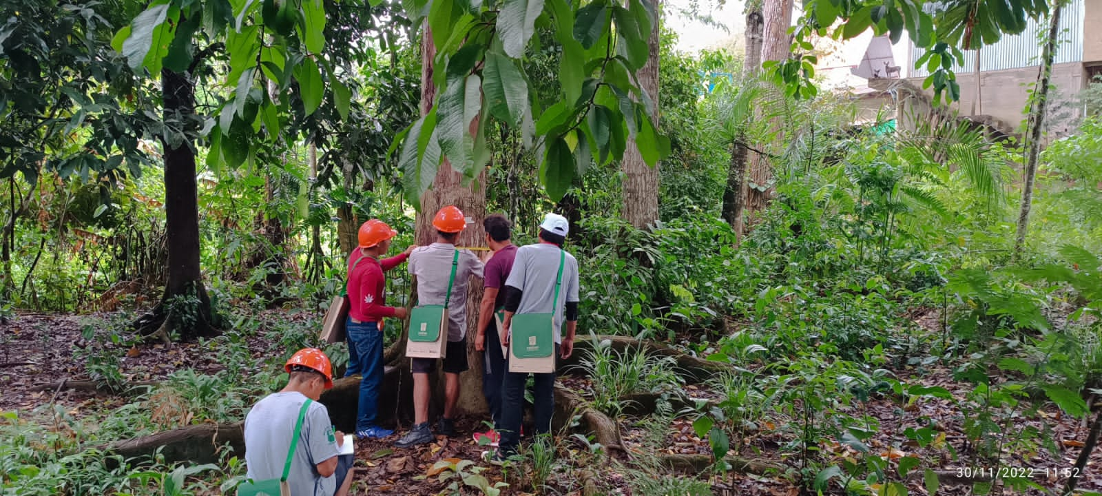 Taller de la Mochila Forestal