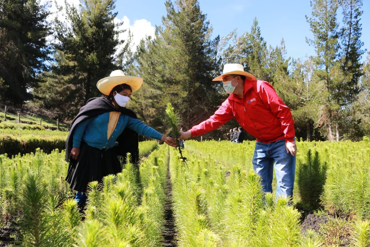Más de 2 millones 800 mil plantones de forestales y cultivos alternativos se sembraron durante los 4 años de gestión municipal
