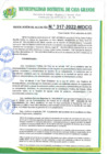 Vista preliminar de documento RA317_2022.pdf