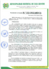 Vista preliminar de documento RA333_2022.pdf