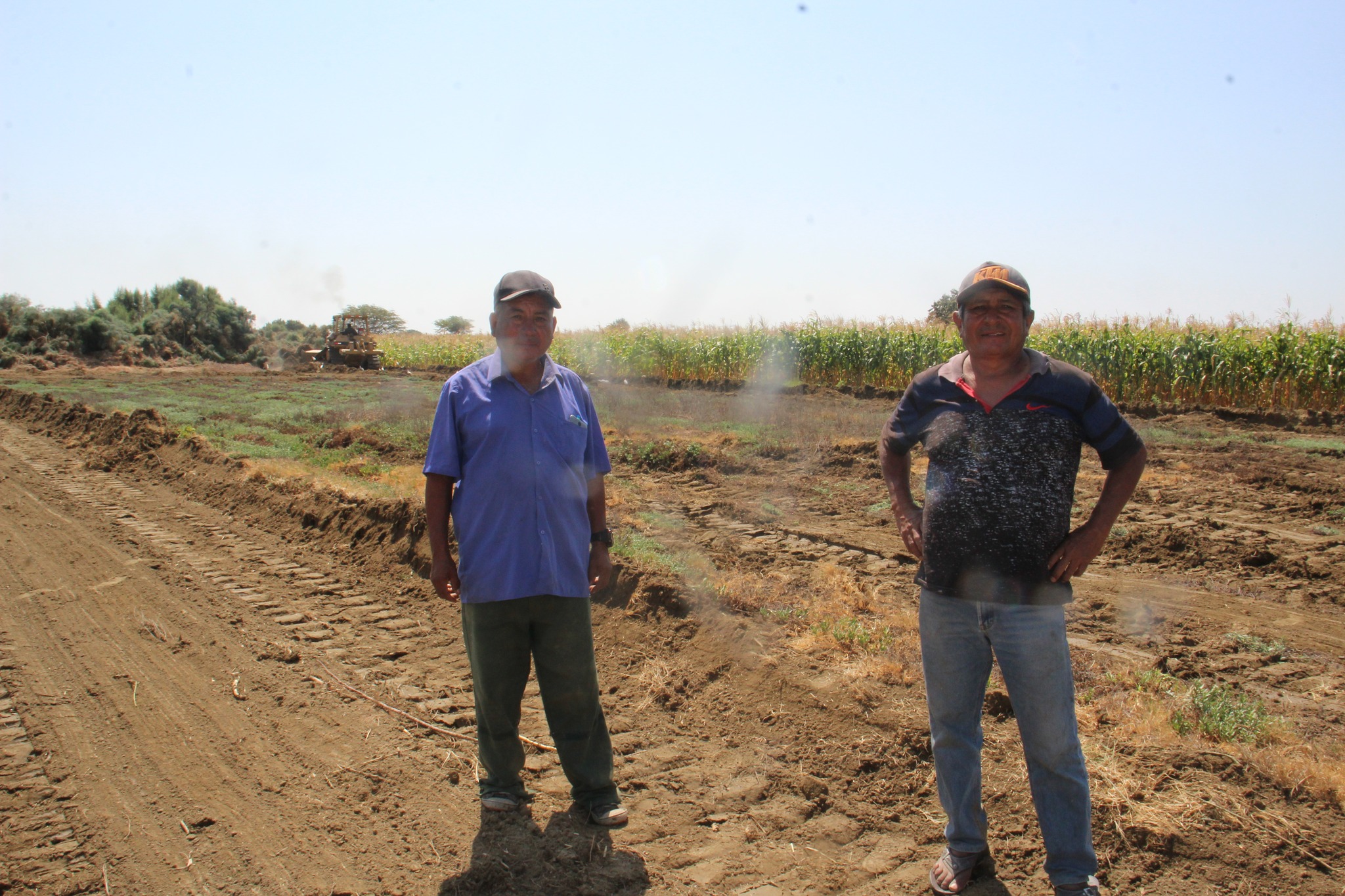 Maquinaria Realiza Trabajos en Terreno Agrícola