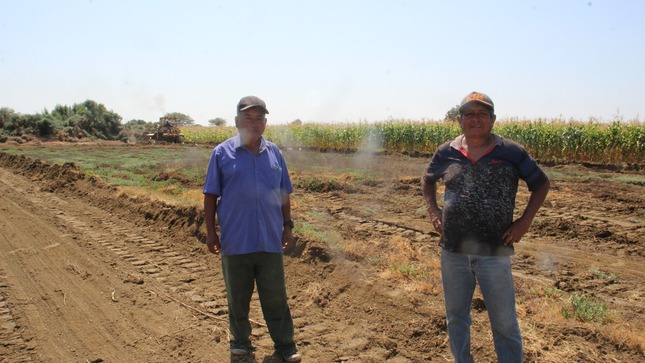 Maquinaria Realiza Trabajos en Terreno Agrícola