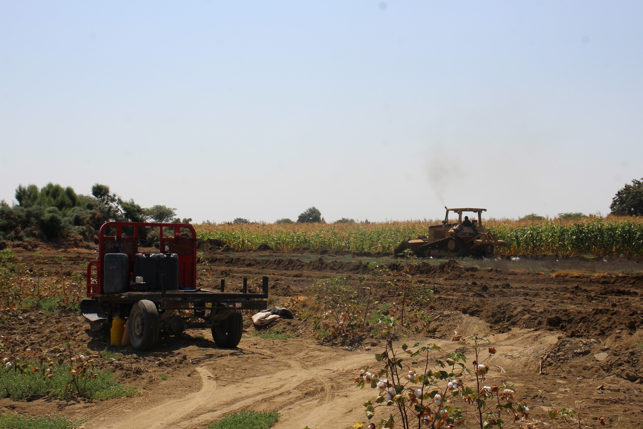 Maquinaria Realiza Trabajos en Terreno Agrícola