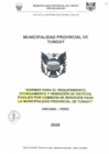 Vista preliminar de documento DTV0004-2020