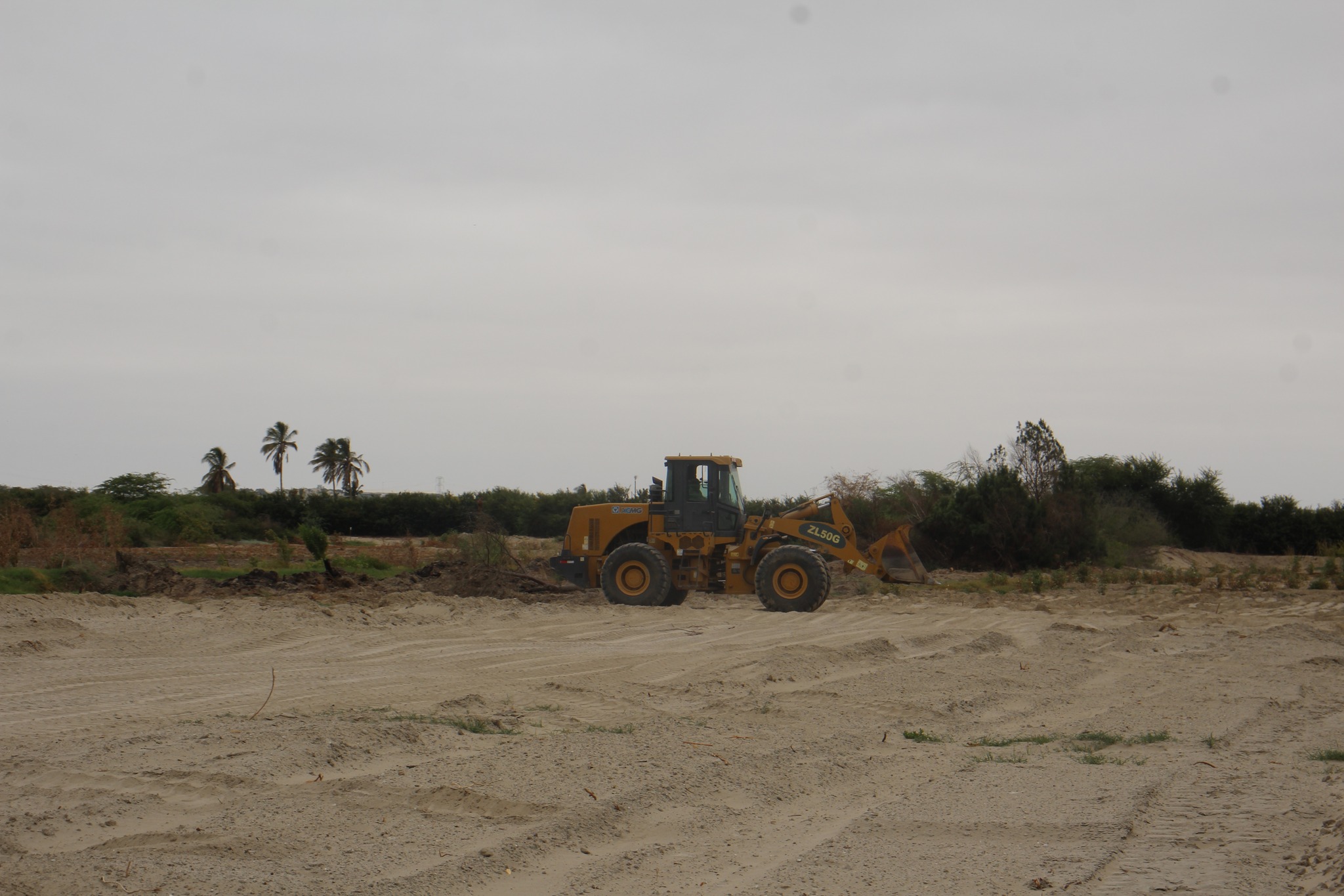 Maquinaria Realiza Trabajos en Terreno Agrícola