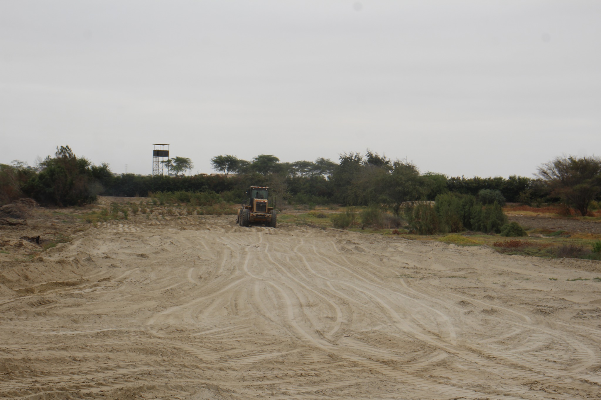 Maquinaria Realiza Trabajos en Terreno Agrícola