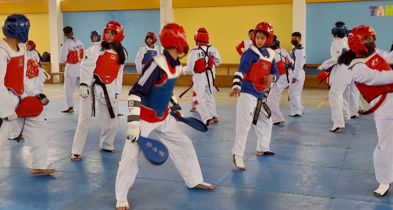 TAEKWONDO