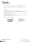 Vista preliminar de documento OFICIAL DE SEGURIDAD II.pdf