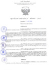 Vista preliminar de documento Resolución Directoral. Nº 2642 - 2022 