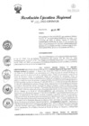 Vista preliminar de documento RER 295