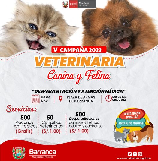 V campaña veterinaria canina y felina gratuita