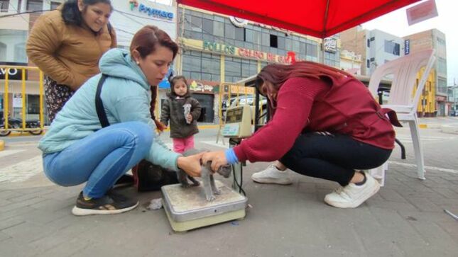 Se desarrolla la V campaña veterinaria a costo social