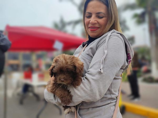 Se desarrolla la V campaña veterinaria a costo social