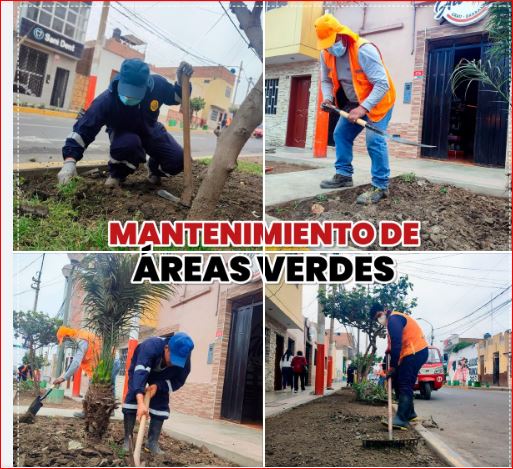La Municipalidad Provincial de Barranca continúa promoviendo la cultura ambiental en la ciudad