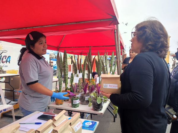 Recolectan más de 500 kilos de residuos sólidos durante Campaña EcoCanje 2022