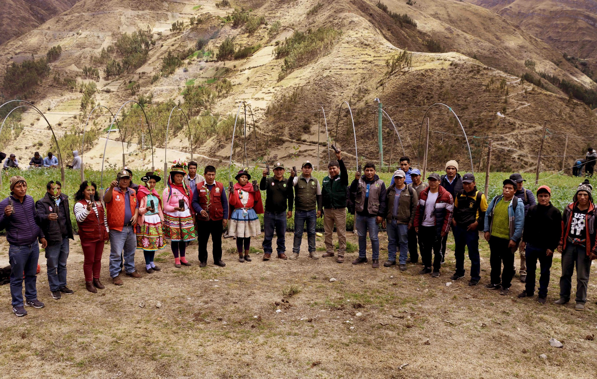 Proyecto Agroforestal entregó 96 millares de plantones frutales y forestales en los distritos de Chaca y San Miguel