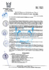 Vista preliminar de documento 186-2022-MPHH