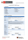 Vista preliminar de documento 5.° GORE E - MINAM