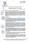 Vista preliminar de documento R.A_032-2022-MPH.pdf