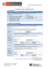 Vista preliminar de documento 5.° GORE E - MIDIS