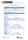 Vista preliminar de documento 5.° GORE E - MVCS