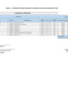 Vista preliminar de documento Cuadro Multianual de Necesidades