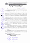 Vista preliminar de documento RDR 021 - 2019