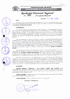 Vista preliminar de documento RDR 022 - 2019