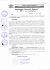 Vista preliminar de documento RDR 023 - 2019