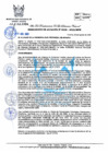 Vista preliminar de documento 236-2022-MPHH